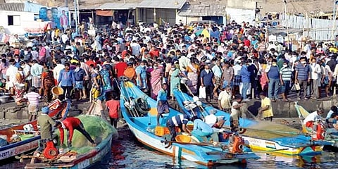 சென்னை: தடையை மீறி காசிமேடு மீன்பிடித் துறைமுகத்தில் குவிந்த மக்கள்!