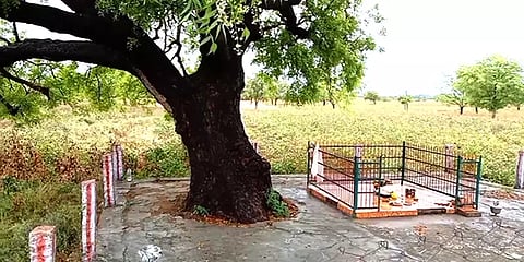 அருப்புக்கோட்டை: மின்னல் தாக்கி ஆடு மேய்க்கச் சென்ற தந்தை, மகன் உயிரிழப்பு