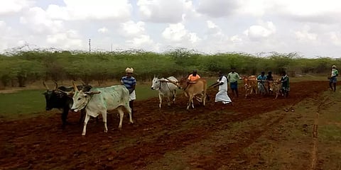 'பருவமழை பொய்க்காது!' - கொரோனா பேரிடர் காலத்தில் விவசாயிகள் மீண்டும் கைகொடுக்க வாய்ப்பு