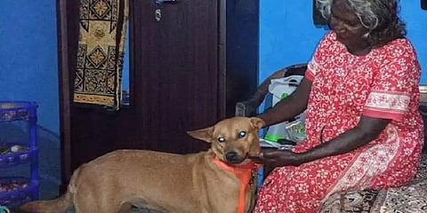 மூணாறு நிலச்சரிவில் போலீஸுக்கு உதவிய குவி... மீண்டும் எஜமானர் உடன் இணைந்த நெகிழ்ச்சி!