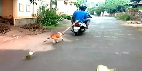 கேரளா: வளர்ப்பு நாயை ஸ்கூட்டரில் கட்டி இழுத்துச் சென்ற கொடூரம்... வைரலாகும் வீடியோ