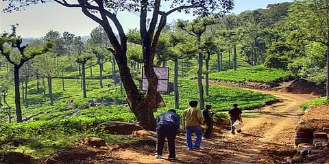 “தமிழகத்தில் அனைத்து சுற்றுலாத்தலங்களும் மூடப்படும்” - தமிழக அரசு