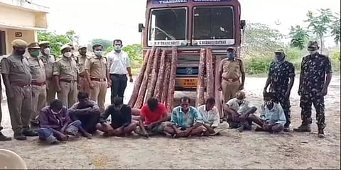 ஆந்திரா: செம்மரம் வெட்டிக் கடத்த முயன்றதாக தமிழகத்தை சேர்ந்த 8 கூலித் தொழிலாளர்கள் கைது