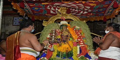 மதுரை சித்திரை திருவிழா: பக்தர்கள் இல்லாமல் நடைபெற்ற மீனாட்சியம்மன் பட்டாபிஷேகம் விழா