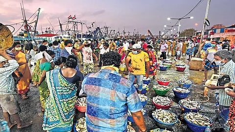 காசிமேடு மீன்பிடித் துறைமுகத்தில் அலைமோதிய கூட்டம்