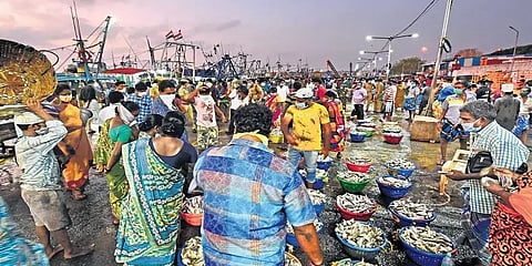 ஞாயிறு முடக்கத்தால் இறைச்சிக்கடைகளில் இன்றே அலைமோதிய கூட்டம்