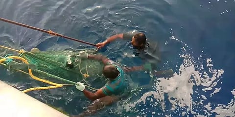 இலங்கை: மீனுக்கு விரித்த வலையில் சிக்கிய 4 மாத யானைக்குட்டி!