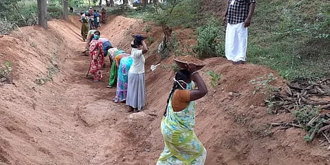 55 வயதுக்கு மேற்பட்டோரை 100 நாள் வேலைவாய்ப்பு திட்டத்தில் அனுமதிக்கக்கூடாது: தமிழக அரசு