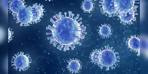 இந்தியா: 2 லட்சத்தை கடந்தது கொரோனா இறப்பு