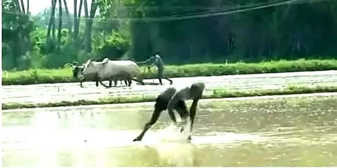 தஞ்சை: தேவைக்கேற்ப நெல் கொள்முதல் நிலையங்களை திறக்க விவசாயிகள் கோரிக்கை