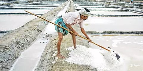 முழு ஊரடங்கு எதிரொலி: வெளிமாநிலங்களுக்கு உப்பு ஏற்றி அனுப்பும் பணிகள் பாதிப்பு