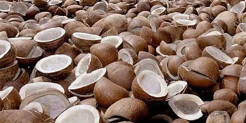 ரூ.120-க்கு விற்ற ஒரு கிலோ கொப்பரை தேங்காய் ரூ.85 ஆக சரிவு