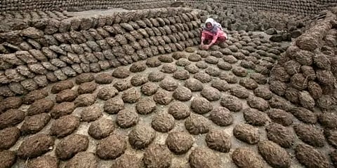 அமெரிக்கா: ஏர் இந்தியா விமானத்தில் இருந்த சூட்கேஸில் மாட்டுச் சாண வரட்டி