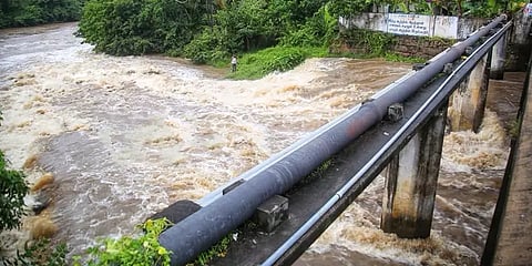 கன்னியாகுமரியில் கொட்டித் தீர்த்த கனமழை; ஆறுகளில் வெள்ளப்பெருக்கு