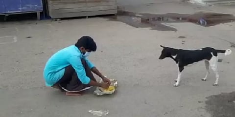 மதுரை: ஆதரவற்றவர்களுக்கும், வாயில்லா ஜீவன்களுக்கும் உணவு வழங்கும் இளைஞர் குழு