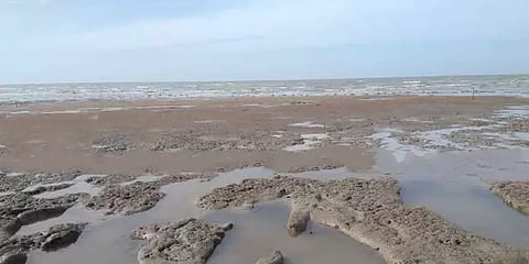 அதிராம்பட்டினம்: திடீரென 200 மீட்டருக்கு உள்வாங்கிய கடல்; தரைதட்டிய படகுகள்