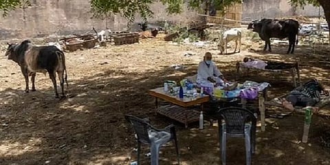 'மரத்தடியில் சிகிச்சை' - உ.பி அரசு குறித்து பொய்ப் புகார் பரப்பியதாக முதியவர் மீது வழக்கு