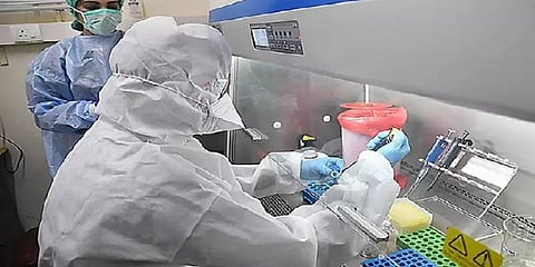 தனியார் ஆய்வுக் கூடங்களில் கொரோனா பரிசோதனைக்கான கட்டணம் குறைப்பு - தமிழக அரசு