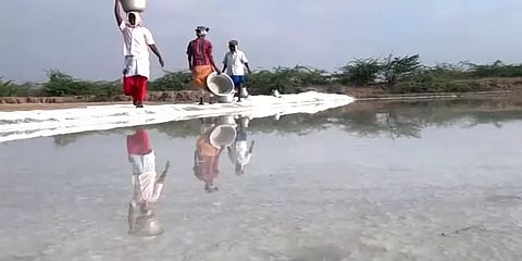 தூத்துக்குடியில் இறக்குமதி செய்யப்படும் குஜராத் மாநில உப்பு - காரணம் என்ன?