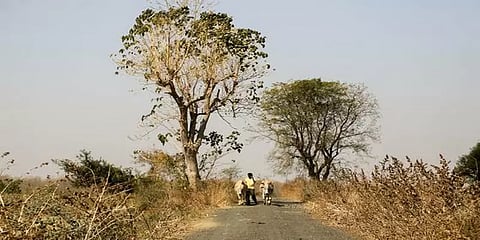 கொரோனா தடுப்பூசியா இல்ல விஷ ஊசியா? - பயத்தில் ஆற்றில் குதித்த கிராமவாசிகள்