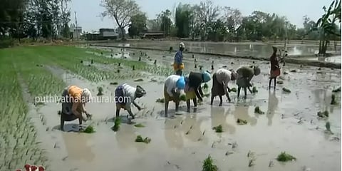 கூட்டுறவுக் கடன் சங்கங்களில் பயிர்க்கடன் கிடைக்காததால் விவசாயப் பணிகள் பாதிப்பு!