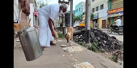 கொரோனா கால மகத்துவர்: மதுரை தெருக்களில் தவிக்கும் நாய்களுக்கு உணவளிக்கும் முதியவர்!