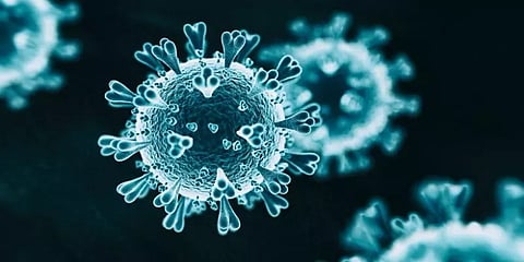 பெரம்பலூர்: கருப்பு பூஞ்சை நோயால் பாதிக்கப்பட்டு இரண்டு பேர் உயிரிழப்பு