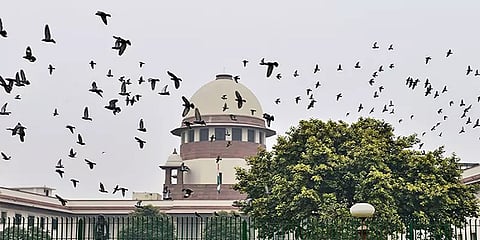 'தேசத்துரோக வழக்கில் வரம்புகளை நிர்ணயிக்கும் நேரம் வந்துவிட்டது'- உச்ச நீதிமன்றம் அதிரடி