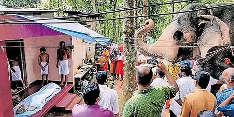 மறைந்த பாகனுக்கு கண்ணீர் அஞ்சலி செலுத்திய யானை - நெகிழ்ச்சி வீடியோ