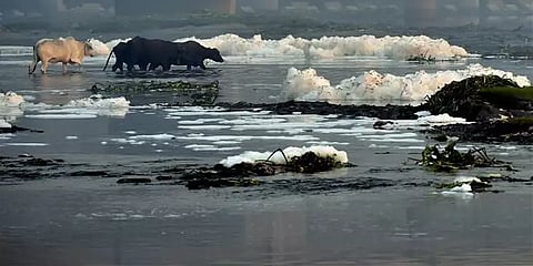 டெல்லி: யமுனை நதி நீரில் கலந்து வரும் நுரை; நதியின் தூய்மை பாதிக்கப்படும் அபாயம்