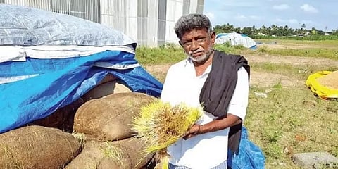 மழையில் நெல்மூட்டைகள் நனைவதை தடுக்க நீதிமன்றம் உத்தரவு