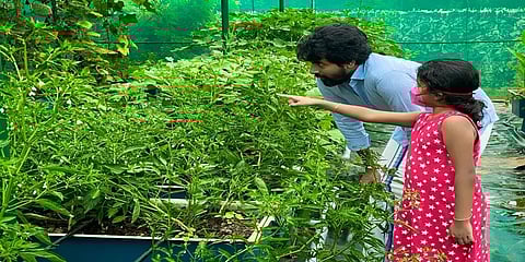 “என் வீட்டு தோட்டத்தில்”.. நடிகர் சிவகார்த்திகேயன் வெளியிட்ட பசுமை தோட்ட வீடியோ