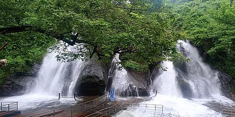 தென்காசி: தென்மேற்கு பருவமழை எதிரொலி; குற்றால அருவிகளில் வெள்ளப்பெருக்கு