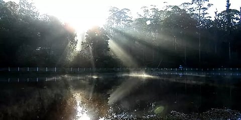 இயற்கை எழில் கொஞ்சும் கொடைக்கானல்: போட்டோ ஆல்பம்