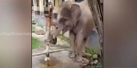 மே.வங்கம்: அடி பம்பில் இருந்து தண்ணீரை அடித்து அருந்தும் குட்டி யானை