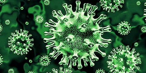 மத்தியப் பிரதேசம்: நாட்டில் முதன்முதலாக 34வயது நபருக்கு 'பச்சை பூஞ்சை' வைரஸ் பாதிப்பு