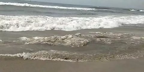 விழுப்புரம்: மரக்காணத்தில் அழுகிய நிலையில் கரை ஒதுங்கிய 20 டன் எடை ராட்சத திமிங்கலம்