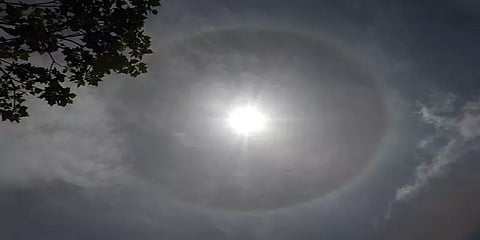 கொடைக்கானல் மலைப்பகுதியில் தென்பட்டது 22 டிகிரி சூரிய ஒளிவட்டம் - விஞ்ஞானிகள் தகவல்