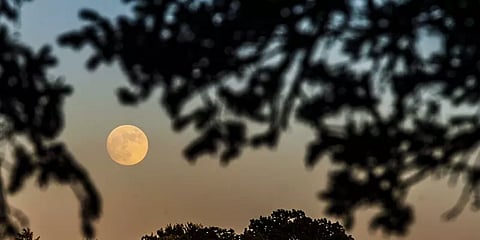 இந்த ஆண்டின் கடைசி சூப்பர் மூன்: பஞ்சாப், கோவாவில் தெளிவாக தெரிந்த 'ஸ்ட்ராபெரி மூன்'