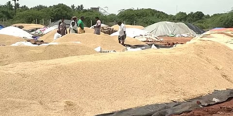 நெல் கொள்முதல் செய்யாமல் அதிகாரிகள் அலட்சியம்... மழையில் வீணாவதால் விவசாயிகள் வருத்தம்