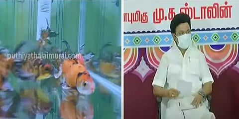 வண்ணமீன்கள் உற்பத்தியாளர்களுடன் முதல்வர் கலந்துரையாடல்