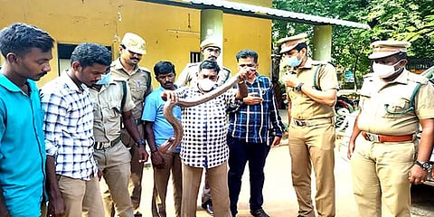 கேரளா டூ கன்னியாகுமரி: சொகுசு காரில் மண்ணுளி பாம்பை கடத்திய 3 பேர் கைது