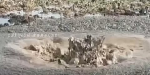 ஓஎன்ஜிசி குழாயில் உடைப்பு: கச்சா எண்ணெய் கசிவால் விவசாய நிலம் பாதிப்பு