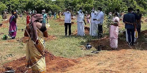 செங்கல்பட்டு: 1000 மரக்கன்றுகளை வழங்கிய ரஜினி மக்கள் மன்ற நிர்வாகி