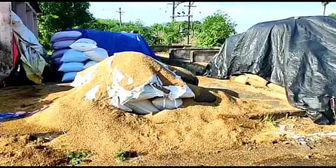 கள்ளக்குறிச்சி: மழையில் நனைந்து 2000 நெல் மூட்டைகள் சேதம் - விவசாயிகள் வேதனை