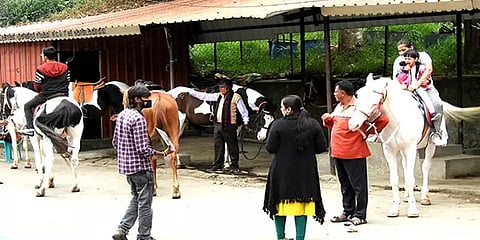 கொடைக்கானல்: ஏரிச்சாலையில் குதிரை சவாரி செய்ய சிறப்பு அனுமதி