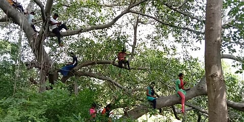 ராசிபுரம்: ஆலமரத்தில் அமர்ந்து ஆன்லைன் வகுப்பை கவனிக்கும் மாணவர்கள் - ஆபத்தை உணருமா அரசு?