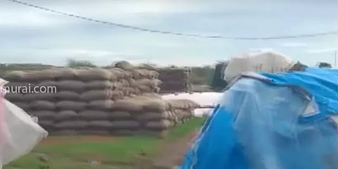 காஞ்சிபுரம்: 8,000 நெல் மூட்டைகள் மழையில் நனைந்து நாசம்