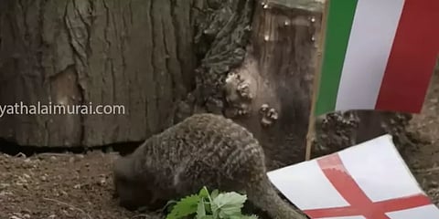 யூரோ கோப்பை வெற்றியாளரை கணித்த கீரிப்பிள்ளைகள்