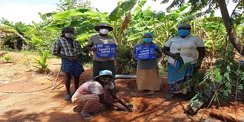 வனத் திருவிழா: 4 மாவட்டங்களில் 20,000 மரக்கன்றுகள் நடப்பட்டதாக ஈஷா தகவல்